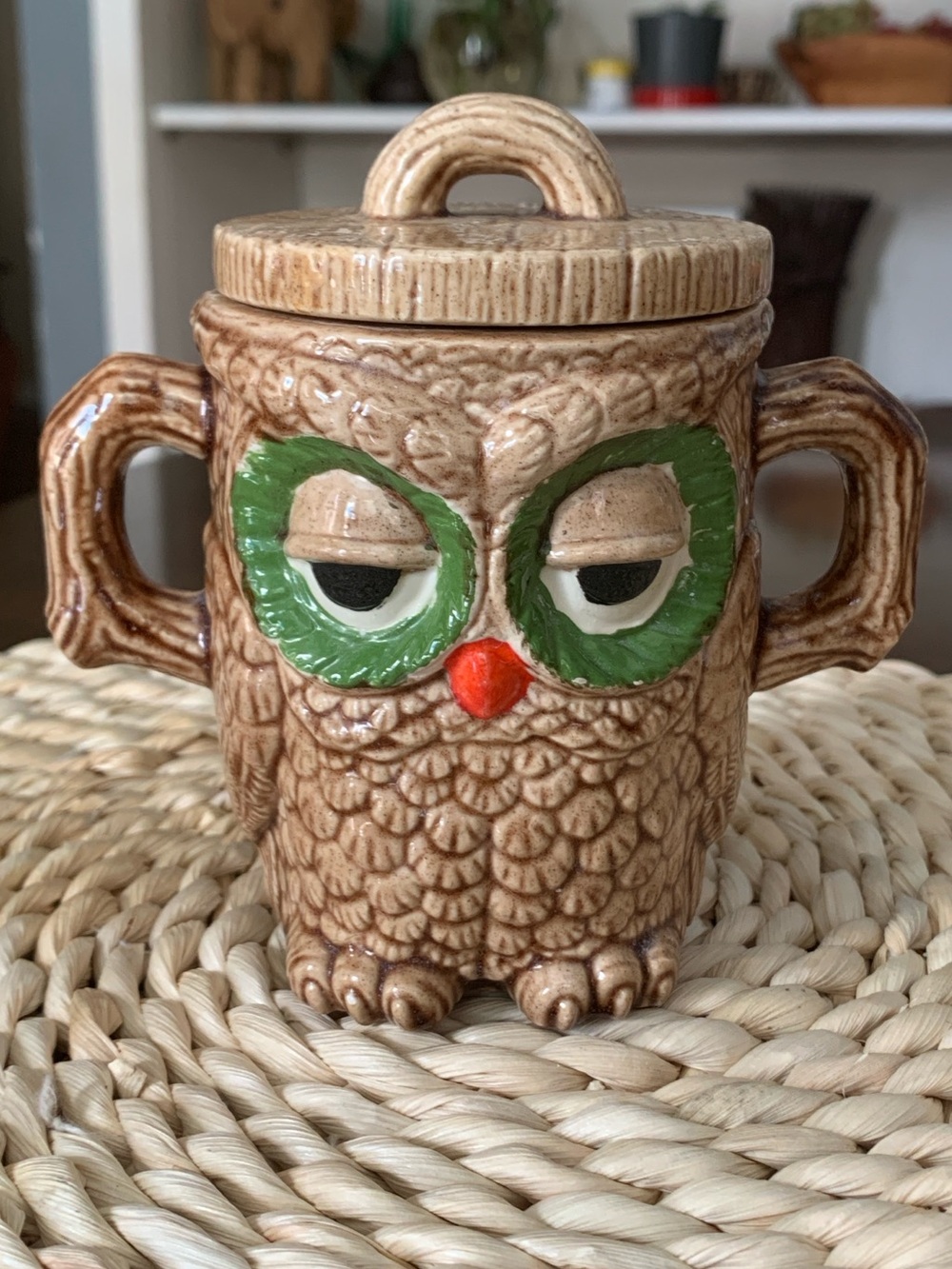 VTG 70’s Ceramic Double Handled, 2 Sided Detailed Sleepy Owl Mug with Lid, 10 oz